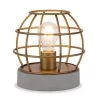 Kennet 9 in. Antique Brass Cage Table Lamp with Concrete Pedestal by Meyer&Cross -Hot Sale HomeGlam Store antique brass meyer cross table lamps tl0030 64 1000