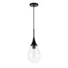 Ambrose 1-Light Blackened Bronze Pendant with Clear Glass Shade by Meyer&Cross