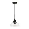 1-Light Blackened Bronze Seeded Glass Pendant by Meyer&Cross -Hot Sale HomeGlam Store blackened bronze meyer cross chandeliers pd0328 64 1000