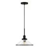 Milo 1-Light Blackened Bronze and Glass Pendant by Meyer&Cross -Hot Sale HomeGlam Store blackened bronze meyer cross chandeliers pd0336 64 1000
