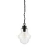 Annie 1-Light Blackened Bronze Pendant with Seeded Glass Shade by Meyer&Cross -Hot Sale HomeGlam Store blackened bronze meyer cross chandeliers pd0459 64 1000