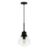 Brooks 1-Light Blackened Bronze Pendant with Seeded Glass Shade by Meyer&Cross -Hot Sale HomeGlam Store blackened bronze meyer cross chandeliers pd0604 64 1000