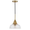 Magnolia 1-Light Brass Single Pendant with Seeded Glass Shade by Meyer&Cross