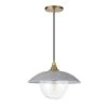 Alvia 1-Light Cool Gray Metal Single Pendant with Clear Glass Shade by Meyer&Cross