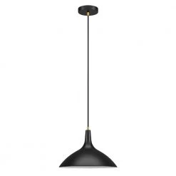 Barton 1-Light Matte Black Metal Pendant with Brass Accents by Meyer&Cross